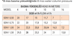 Senkron 1 Havuz Pompası